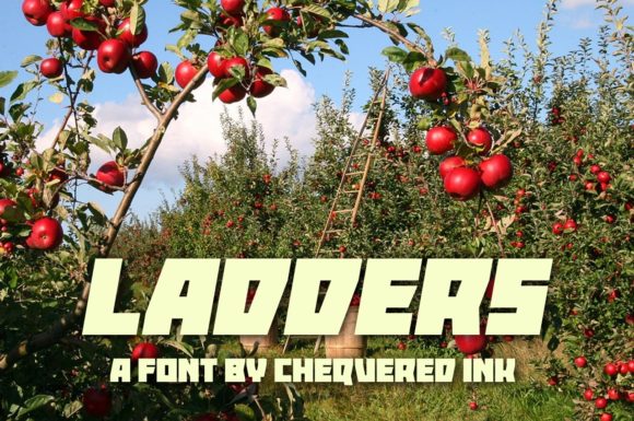Ladders: A Bold Display Font for Editorial Design