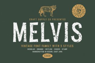 Melvis Family: A Vintage Font for Creative Projects