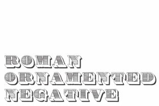 Roman Ornamented: A Font for Polished Branding